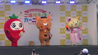 ご当地キャラカーニバル in ぐんま 2024　2日目　そうかニャン