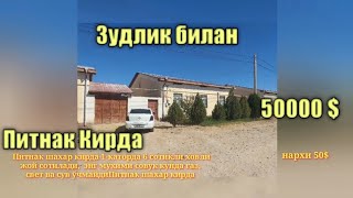 Питнак Кирда Намунали жой сотилади зудлик билан