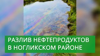 Нефтеразлив в Ногликском районе устраняют более 20 человек и 4 единицы техники