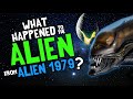 What Happened to the ALIEN from 1979?