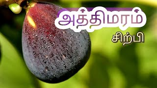 அத்திமரம்- சிற்பி -ஒரு கிராமத்து நதி -கவிதை | athimaram sirpi kavithai in tamil