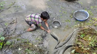 পুকুর সেচে মাছ ধরার দৃশ্য | Best Mud Water Fishing | Unbelievable Catching After Dry Water In Pond