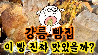 이 빵, 줄 서야 먹는다고? 강릉 빵집 여행! | 빵먹방, 빵지순례 | 빵 먹는 개띠랑의 백빵기행 ep.121🥐