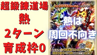 【ロマサガRS】ヴァルドーの超鍛錬道場(熱)を2ターンで周回！(他の属性は詳細欄にあります)