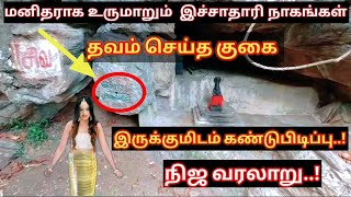 சுருளி மலை அற்புதங்கள்..!  இச்சாதாரி நாகங்கள் தவம் செய்த குகை l சிவன் தவம் செய்த குகை l MK tamil