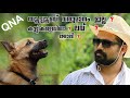 നിങ്ങൾക്കുള്ള ഉത്തരം  | #Dailytips #Puppykuttan #Linu Shajan qna video 2021