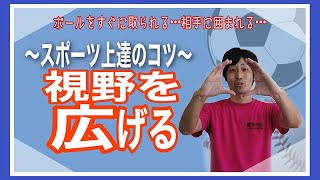 【周辺視野】視野を広げてスポーツが上達する状況判断力トレーニング！　勝ちグセ。アスリート育成塾　基礎トレ #13