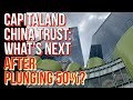 CapitaLand China Trust: Can Investors Find Value After Plunging 50%? #SREIT