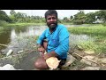 மீன் பிடிக்கா போணோம் ஆமை பிடித்தோம் fishing ll aamai ll village fishing