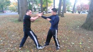 Wing Chun/JkD Jao Sao Series