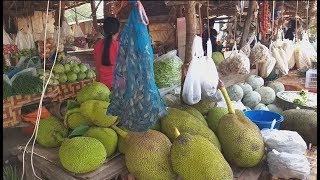 พาชมตลาดบ้านแก้งแฮด 《》ພາເບິ່ງຕະຫລາດບ້ານແກ້ງແຮດ