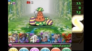 パズドラ【カピバラさんコラボ・極】ゼウス＆ヘラ×赤オーディンPT　(Sランク)