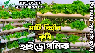 মাটি বিহীন কৃষি হাইড্রোপনিক সিস্টেম | বদলে দিতে পারে আপনার ভাগ্যের চাকা | Hydroponic Farming system