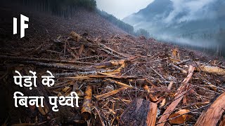 क्या हो अगर दुनिया के सारे पेड़ काट दिए जाएं | What If All Trees Were Cut Down?