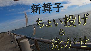 新舞子でちょい投げと泳がせ釣りを楽しむ♪