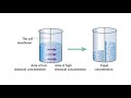 Using Prolotherapy and PRP Together - Does Prolo and Platelet-Rich Plasma Play Nice?