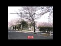 【桐ヶ丘団地】w33・35・36の変化 2014～2022