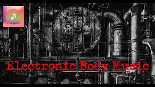 Electronic Body Music/EBM/Dark/Industrial.