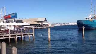 Fishing Boat Harbour, Fremantle