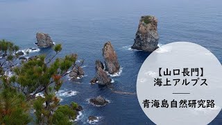 【山口長門】海上アルプス　青海島自然研究路散策を歩いてみた