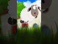 Eid Sheep Song 🐑 | Happy Eid Al Adha Song for Kids | Fun Nursery Rhyme