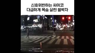 다급히 크락션 울려 목숨 살린 블박차