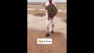 1 حكاية الضب المسكين - بيدور عليه 😹