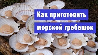 Как приготовить морской гребешок