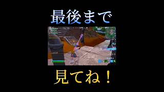 【フォートナイト】欲しいアイテムをなかなかくれない味方さんとのやり取りが面白すぎたw #fortnite #フォートナイト #しな鯖 #エンジョイ#面白い #shorts #sinapusu_tgv