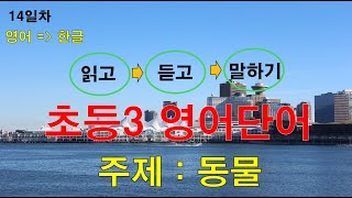 [14일차] [주제 : 동물] 초등3학년 영어단어/ 읽고 듣고 말하면 저절로 외워져요^^