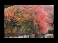 京都山科 毘沙門堂の紅葉