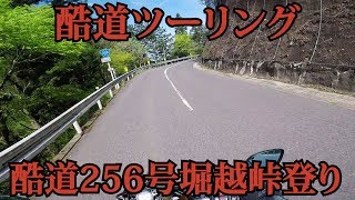 【酷道ツーリング】岐阜県酷道256号　堀越峠　【XR250】