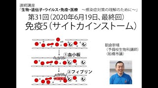 「免疫５（サイトカインストーム）（連続講座「生物・遺伝子・ウイルス・免疫・医療（感染症対策理解のために）31（最終回）」（32分）。朝倉幹晴（船橋市議・予備校講師）