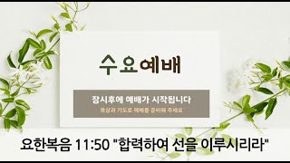 [포항큰숲교회] 24.9.4 수요성령집회