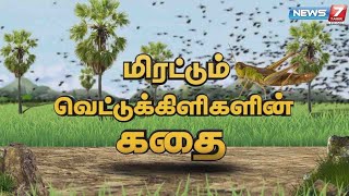 மிரட்டும் வெட்டுக்கிளிகளின் கதை | Story Of Locust attack | News7 Tamil Prime