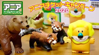 アニアチケットキャンペーン2020 でゲット!たべっこどうぶつ らいおんくんがめちゃ可愛い!