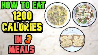 How To Eat 1200 Calories A Day In 3 Meals To Lose Weight