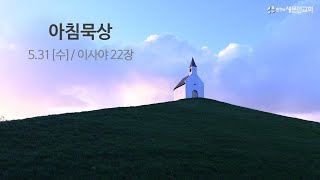 아침묵상 / 5월 31일(수)