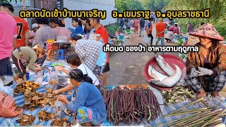 ตลาดนัดเช้าวันเสาร์บ้านนาเจริญ อ.เขมราฐ จ.อุบลฯลฯ ฤดูกาลเห็ดบด #เห็ดบด #อาหารตามฤดูกาล