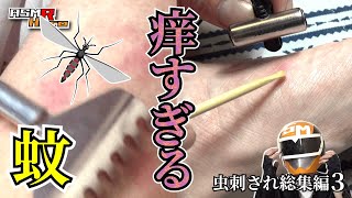 【眠れない夜用ASMR】蚊に刺されて痒すぎる腕・首・足の裏を掻いたら超気持ち良い‼/虫刺され総集編3 SONY ECM-CS3 TASCAM DR-07MK2【睡眠導入】