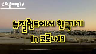 스티봉여행TV [NZ특집] 뉴질랜드에서 한국으로 귀국하기 Feat.찬영