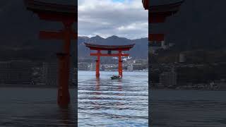 宮島の巌島神社⛩️