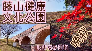 しまなみ日和(471)  もうすぐ冬、晩秋の藤山健康文化公園の紅葉風景を散策　2022/11/28