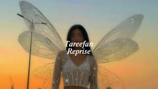 tareefan reprise (slowed + reverb)
