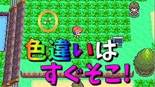 [ポケットモンスター　ダイヤ・パール]（色違い・ポケトレ）４０連鎖できたら、こっちのもの！（part50）