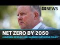 Labor to keep net zero emissions target for 2050 | ABC News