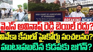 వైఎస్ అవినాష్ రెడ్డి బెయిల్ రద్దు? వివేకా కేసులో హైకోర్టు సంచలనం ?Ys Avinash Reddy | Ys Jagan |