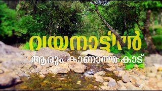 WAYAND ATTAMALA  Vellarimala The Best Place to Explore Trekking and Hill Climbin Malayalam