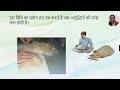 पदार्थों का पृथक्करण separation of materials क्लास 6 विज्ञान अध्याय 7 jcert part 1