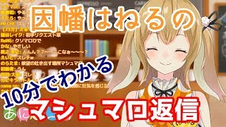 【10分でわかる】マシュマロの質問に答えるまとめ【因幡はねる / あにまーれ】